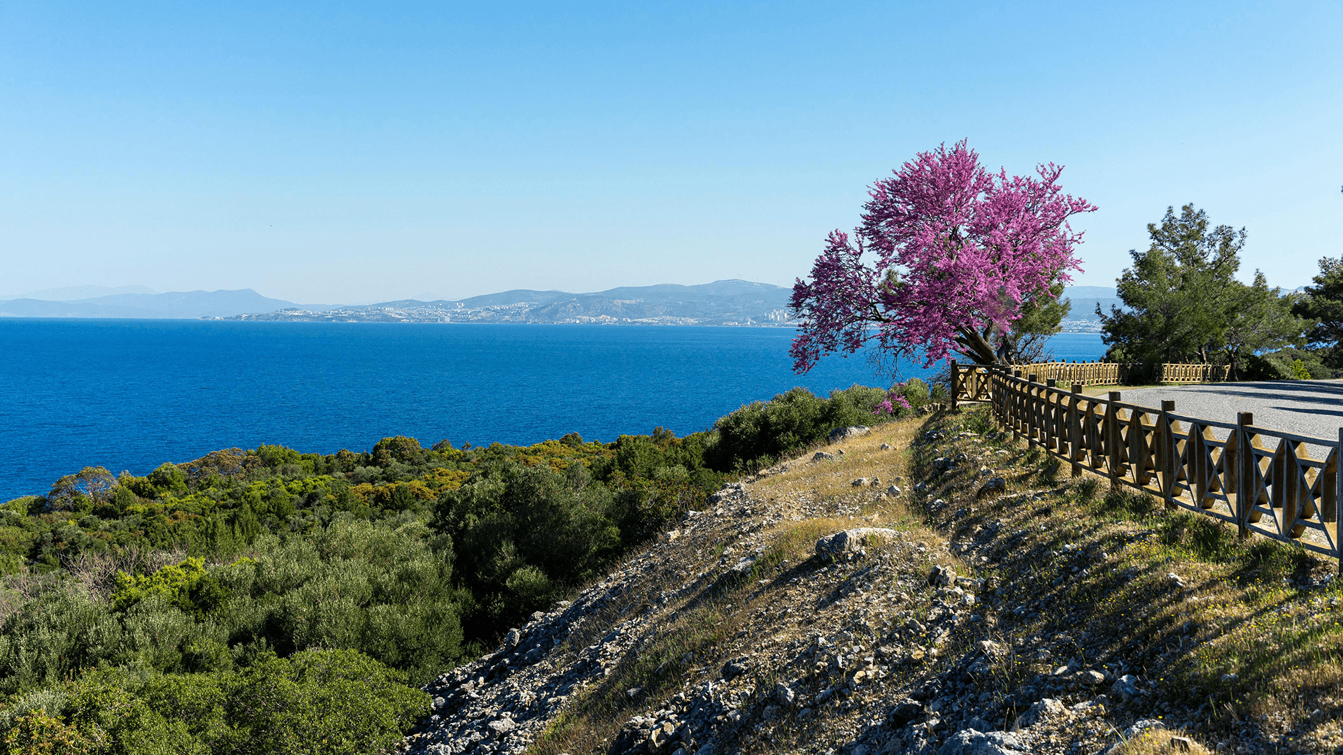 Kuşadası